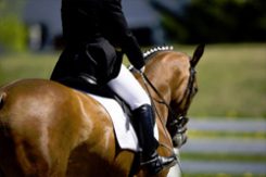 western equine woman on horse